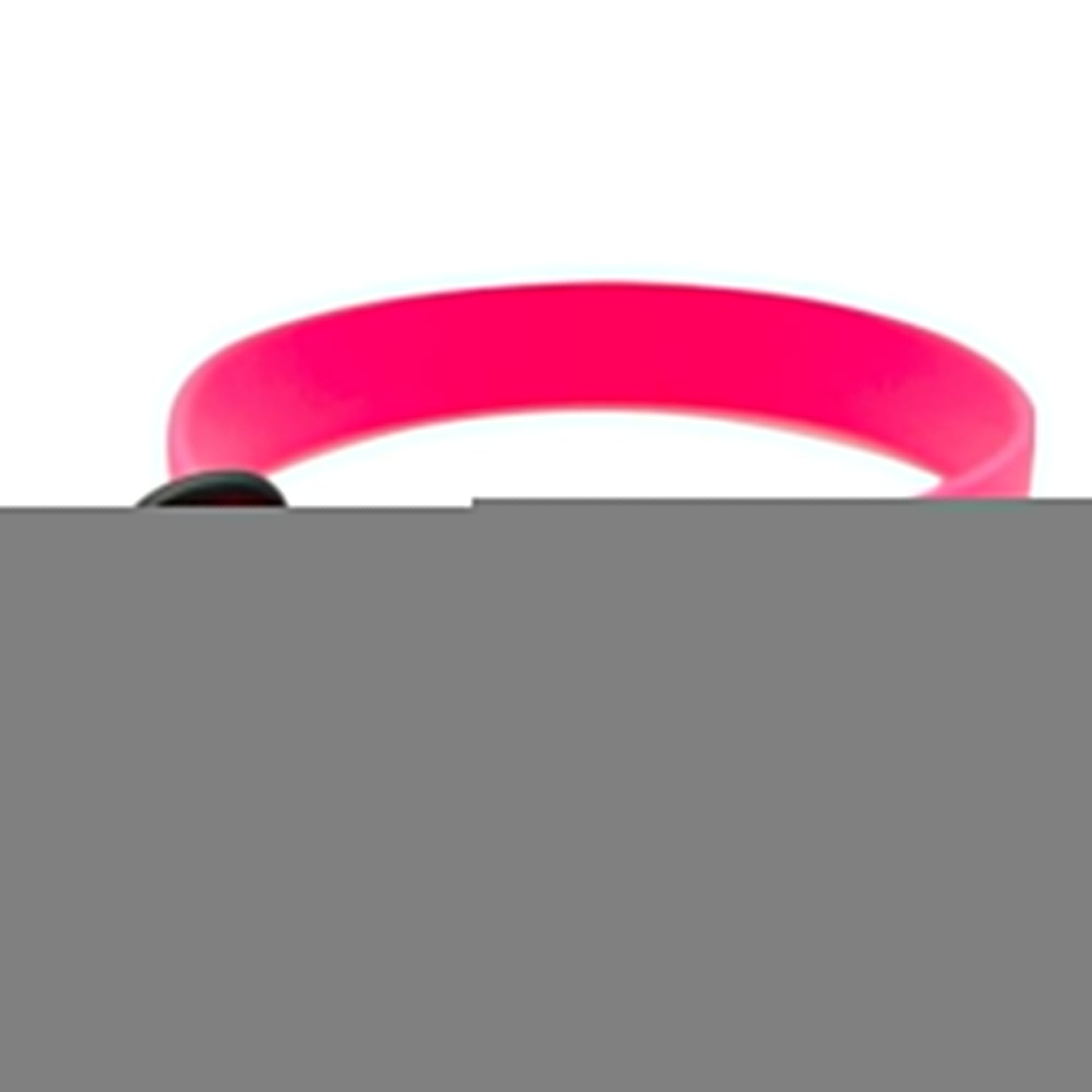 Omni Pet Zeta Biothane Dog Collar with Blk Hardware Ruby 1 x 24in.