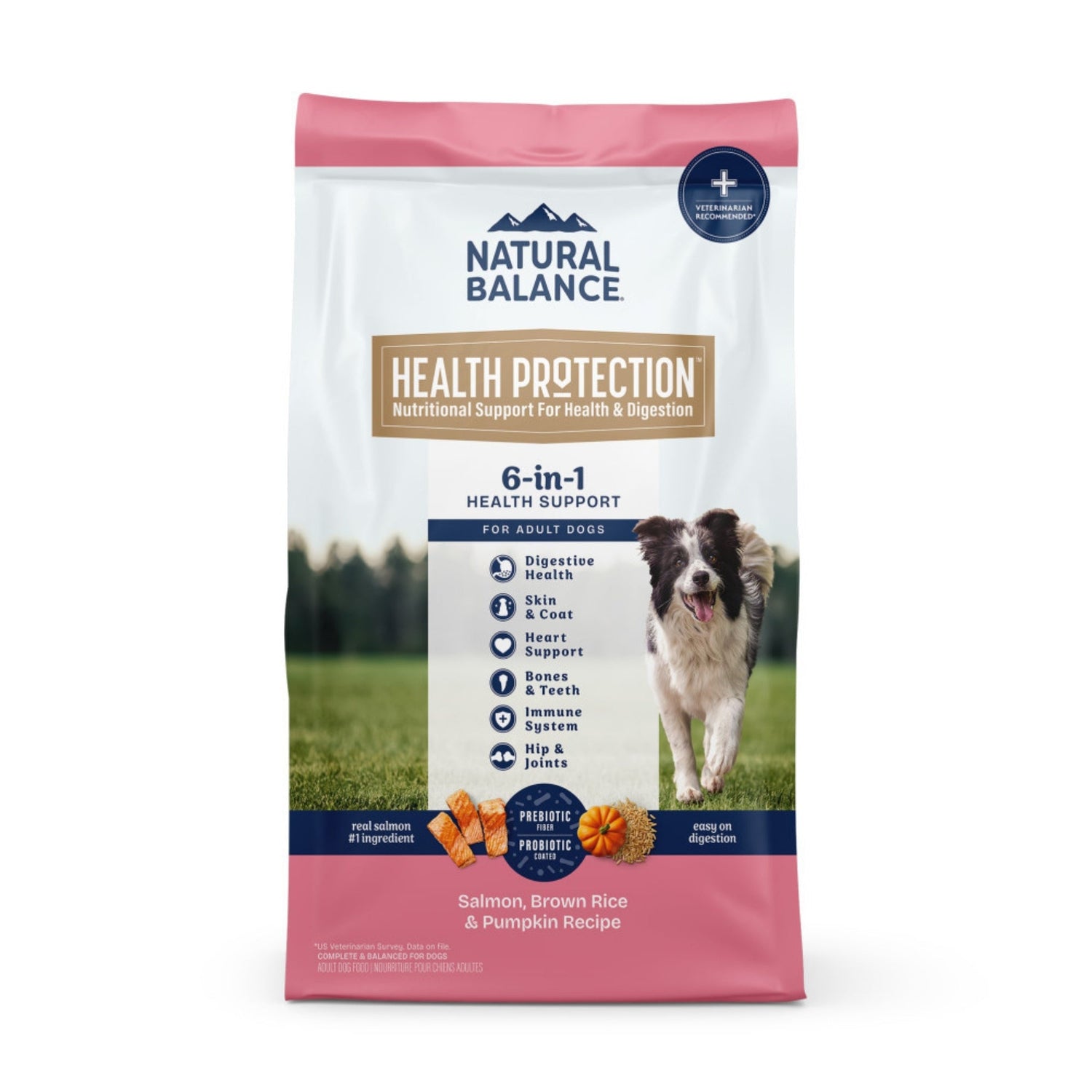 Natural Balance Pet Foods Health Protection Dry Dog Food Salmon, Brown Rice & Pumpkin 4lb